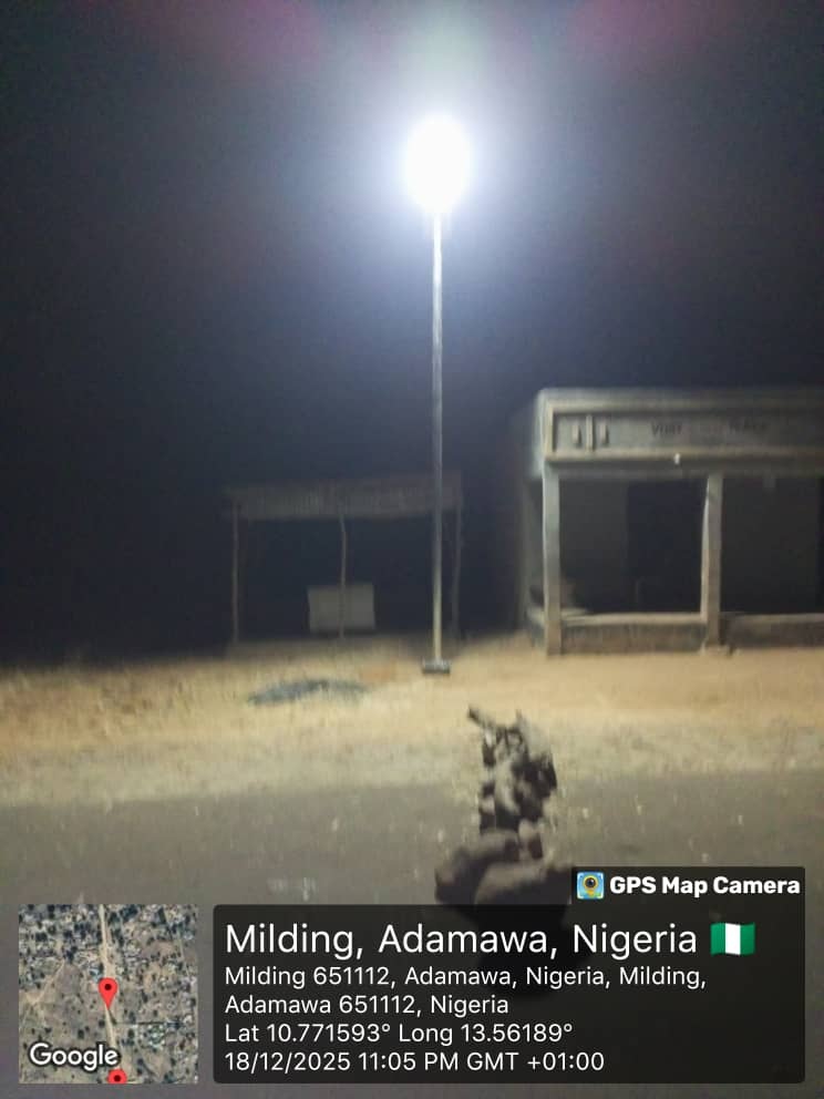 From Advocacy to Action: NEDC Delivers 100 Solar Street Lights and Water Access to Transform Sukur Kingdom, Adamawa State